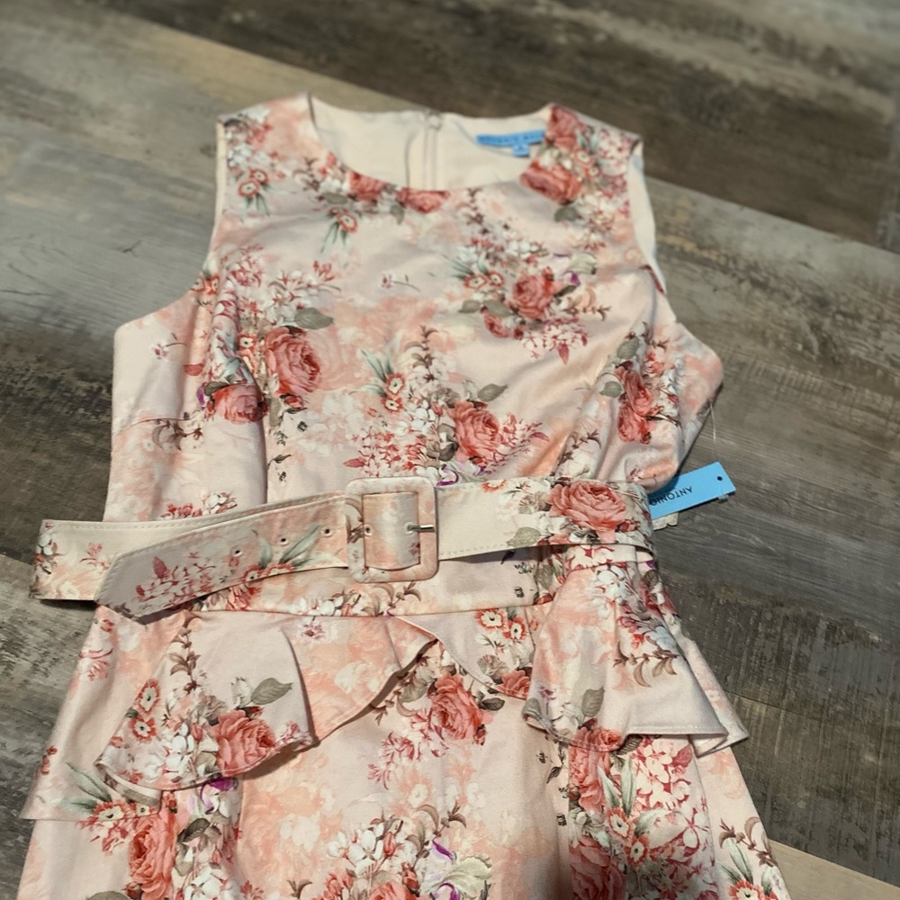 NWT Antonio Melani size 8 pink beige green sleeveless belted dress. - Picture 2 of 9